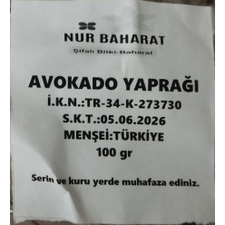 Avokado Yaprağı