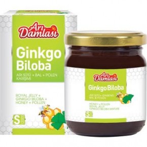 Ginkgo biloba macunu